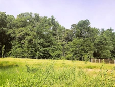 Programme immobilier neuf de 5 lots à Avensan (33480)