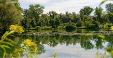 Programme immobilier neuf de 45 lots à Strasbourg (67000)
