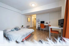Programme immobilier neuf de 1 lot à Lyon (69007)