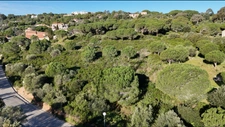 Programme immobilier neuf de 30 lots à Calvi (20260)