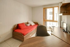 Programme immobilier neuf de 1 lot à Grenoble (38000)