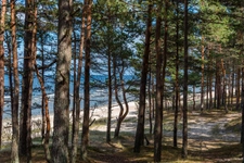 Programme immobilier neuf de 3 lots à Lège-Cap-Ferret (33950)