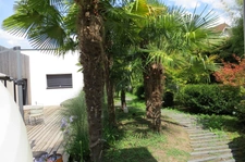 Contemporary house to discover in Saint Cyr sur Loire with swimming pool, pergola and a magnificent garden, large garage plus full basement (37) 
