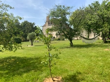 Prieuré de caractère  7 pièces proche Blois   vue dominante  3 minutes du lac , du golf , idéal maison secondaire