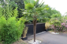Contemporary house to discover in Saint Cyr sur Loire with swimming pool, pergola and a magnificent garden, large garage plus full basement (37) 