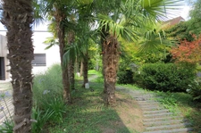 Contemporary house to discover in Saint Cyr sur Loire with swimming pool, pergola and a magnificent garden, large garage plus full basement (37) 