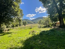 Propriété agricole avec maison de maître, corps de ferme et dépendances – 3,4 ha – Campagne