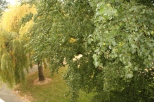 Appartement à vendre - 2 CHAMBRES (POSSIBLE 3) - PLEIN CENTRE SAINT CYR SUR LOIRE 