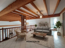 02100 NEUVILLE SAINT-AMAND - Maison de caractère au charme de l’ancien 332m2 - 4 chambres - Vie de plain-pied - Salle de réception 70 m² - Mezzanine - Grand garage