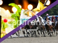 Fonds de commerce à vendre SAINT BENOIT (974), 85000€ Tabac - FDJ - PMU - Café - Terminale de cuisson 80 m² 