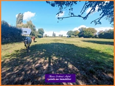 Magnifique propriété avec 2 maisons et piscine sur 3 hectares à 15min de BERNAY