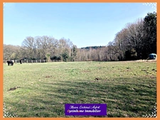 TERRAIN CONSTRUCTIBLE POUR HABITATION LEGERE sur 3,8 Ha dans l'Orne limitrophe Calvados