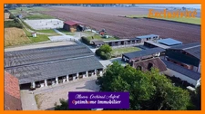 Ecurie avec 3 maisons sur 4 hectares proposant de nombreuses installations (boxes, manèges, carrières) dans l'Eure à 15min de L'Aigle 