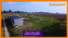Ecurie avec 3 maisons sur 4 hectares proposant de nombreuses installations (boxes, manèges, carrières) dans l'Eure à 15min de L'Aigle 