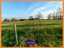 Propriété équestre sur près d'1 hectare aux portes des Yvelines, 25 min de Rambouillet