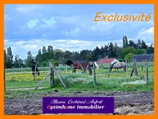 Ecurie avec 3 maisons sur 4 hectares proposant de nombreuses installations (boxes, manèges, carrières) dans l'Eure à 15min de L'Aigle 