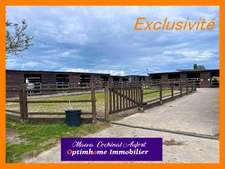 Ecurie avec 3 maisons sur 4 hectares proposant de nombreuses installations (boxes, manèges, carrières) dans l'Eure à 15min de L'Aigle 
