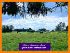 Domaine avec ancien Pavillon de Chasse sur 8 hectares à 25min de Verneuil sur Avre dans l'Orne 