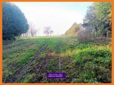 Propriété équestre sur près d'1 hectare aux portes des Yvelines, 25 min de Rambouillet