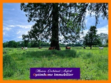 Domaine avec ancien Pavillon de Chasse sur 8 hectares à 25min de Verneuil sur Avre dans l'Orne 