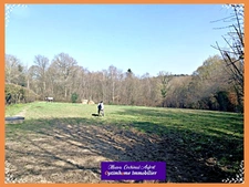 TERRAIN CONSTRUCTIBLE POUR HABITATION LEGERE sur 3,8 Ha dans l'Orne limitrophe Calvados