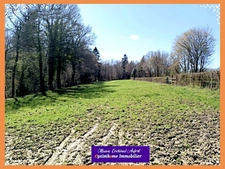 TERRAIN CONSTRUCTIBLE POUR HABITATION LEGERE sur 3,8 Ha dans l'Orne limitrophe Calvados