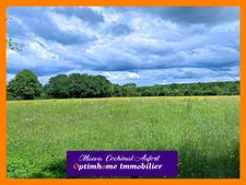 Domaine avec ancien Pavillon de Chasse sur 8 hectares à 25min de Verneuil sur Avre dans l'Orne 