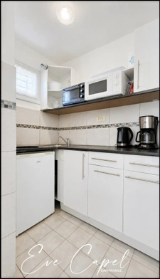 Appartement à vendre 1 pièces BALARUC LES BAINS (34), STUDIO Climatisé avec Terrasse, au Calme et sans vis-à-vis 