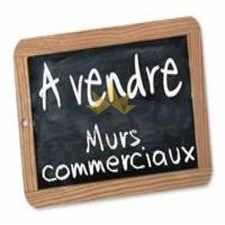 FURIANI SPECIAL INVESTISSEURS MURS COMMERCIAUX