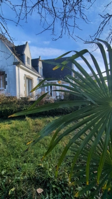 ? Maison néo-bretonne – 143 m² – Sous-sol complet – Quartier du Haras