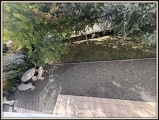 Maison à vendre 7 pièces TARBES (65)