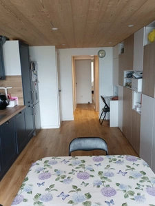 Appartement à vendre 3 pièces BELLEVAUX (74)