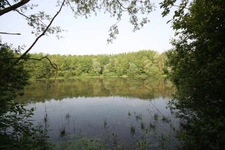 Propriete à vendre sur 35 hectares, 14 pièces, piscine, tennis, chasse, pêche, équitation, au cœur de la Dombes