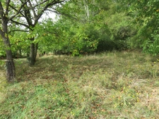Terrain de 1150 m² à vendre  AMBERIEU EN BUGEY (01) (Quartier Vareille-Saint Germain)