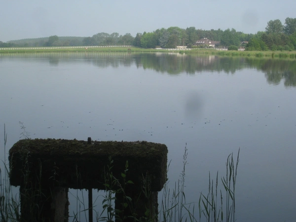 Propriete à vendre sur 35 hectares, 14 pièces, piscine, tennis, chasse, pêche, équitation, au cœur de la Dombes