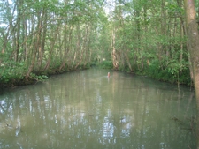 Propriete à vendre sur 35 hectares, 14 pièces, piscine, tennis, chasse, pêche, équitation, au cœur de la Dombes