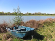 Propriete à vendre sur 35 hectares, 14 pièces, piscine, tennis, chasse, pêche, équitation, au cœur de la Dombes