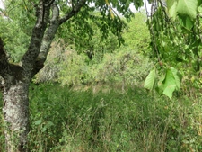 Terrain de 1150 m² à vendre  AMBERIEU EN BUGEY (01) (Quartier Vareille-Saint Germain)