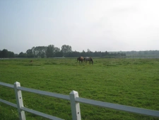 Propriete à vendre sur 35 hectares, 14 pièces, piscine, tennis, chasse, pêche, équitation, au cœur de la Dombes