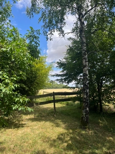 Longère à rénover OUZOUER SOUS BELLEGARDE (45)