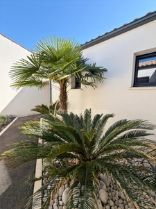 Maison à vendre 5 pièces FERRIERES (17)
