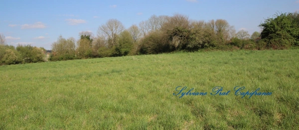A vendre Terrain Agricole de 15 089,00 m² ARTIGUELOUTAN (64)