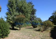 A 5 minutes de l'A64 Terrain Constructible de 974 m² centre de Nousty