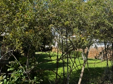 Beautiful character millstone - 192m² - Land 582 m² 