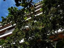 RANELAGH-Appartement avec balcon et studio