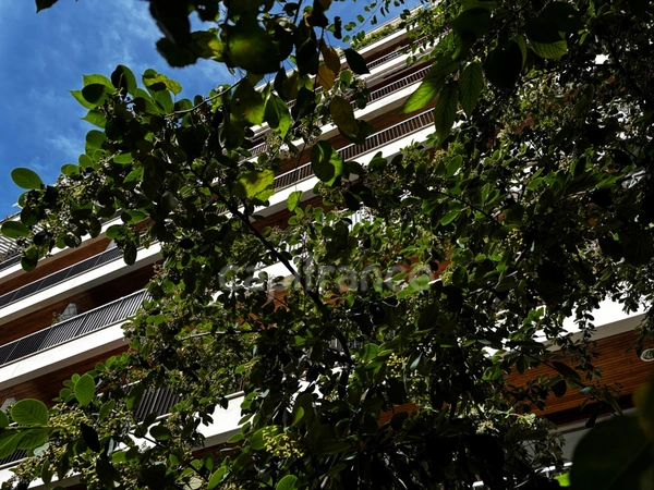 RANELAGH-Appartement avec balcon et studio