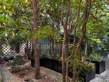 EXCEPTIONAL – TOP FLOOR WITH UNINTERRUPTED VIEWS OF THE MUSÉE D'ORSAY – CONTINUOUS BALCONY – PARIS 7TH ARRONDISSEMENT