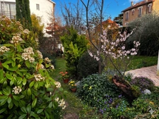 Charming family home – 6 bedrooms, wooded garden, outbuilding and RER C train station within walking distance