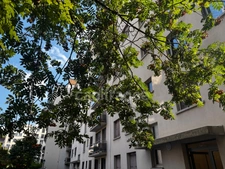 Appartement 3 pièces avec balcon lumineux
