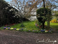 Charming family home – 6 bedrooms, wooded garden, outbuilding and RER C train station within walking distance